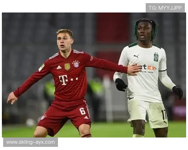 德国足球球员星级评定标准解析与图示展示