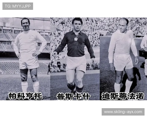 米尔顿足球球星的传奇故事与成就探索以及他们对足球的深远影响